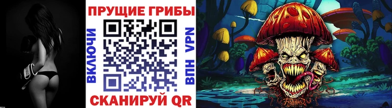 Псилоцибиновые грибы GOLDEN TEACHER  Купить где  Кунгур 